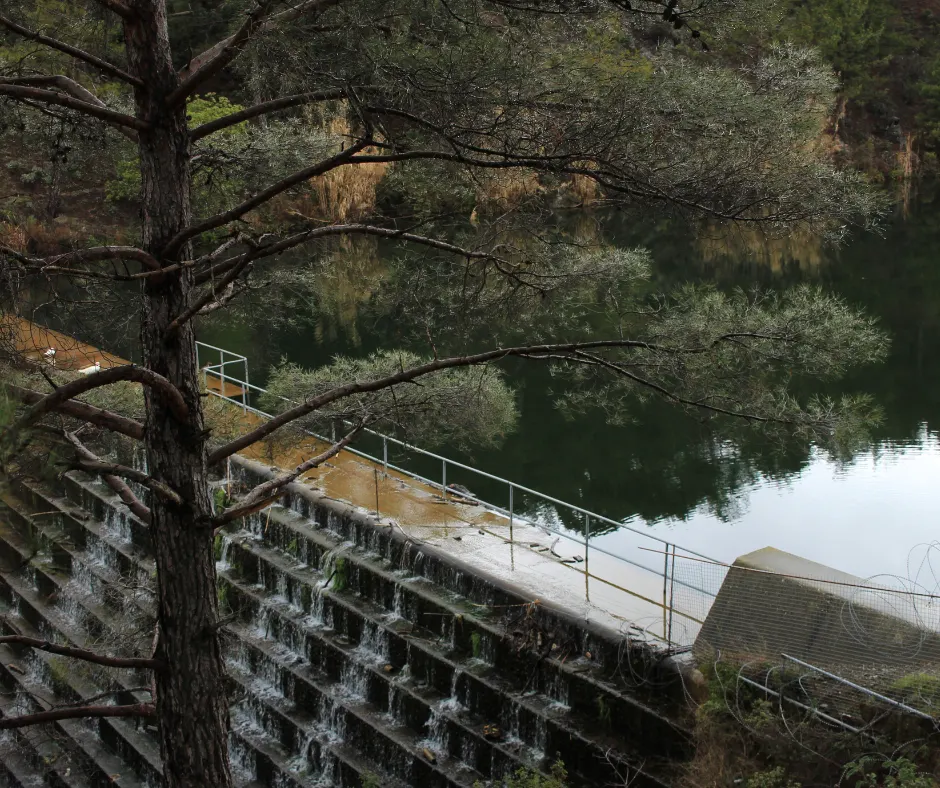 The Pera Pedi dam — water running down the stepped face of the dam wall, the reservoir held behind it and pines in the foreground