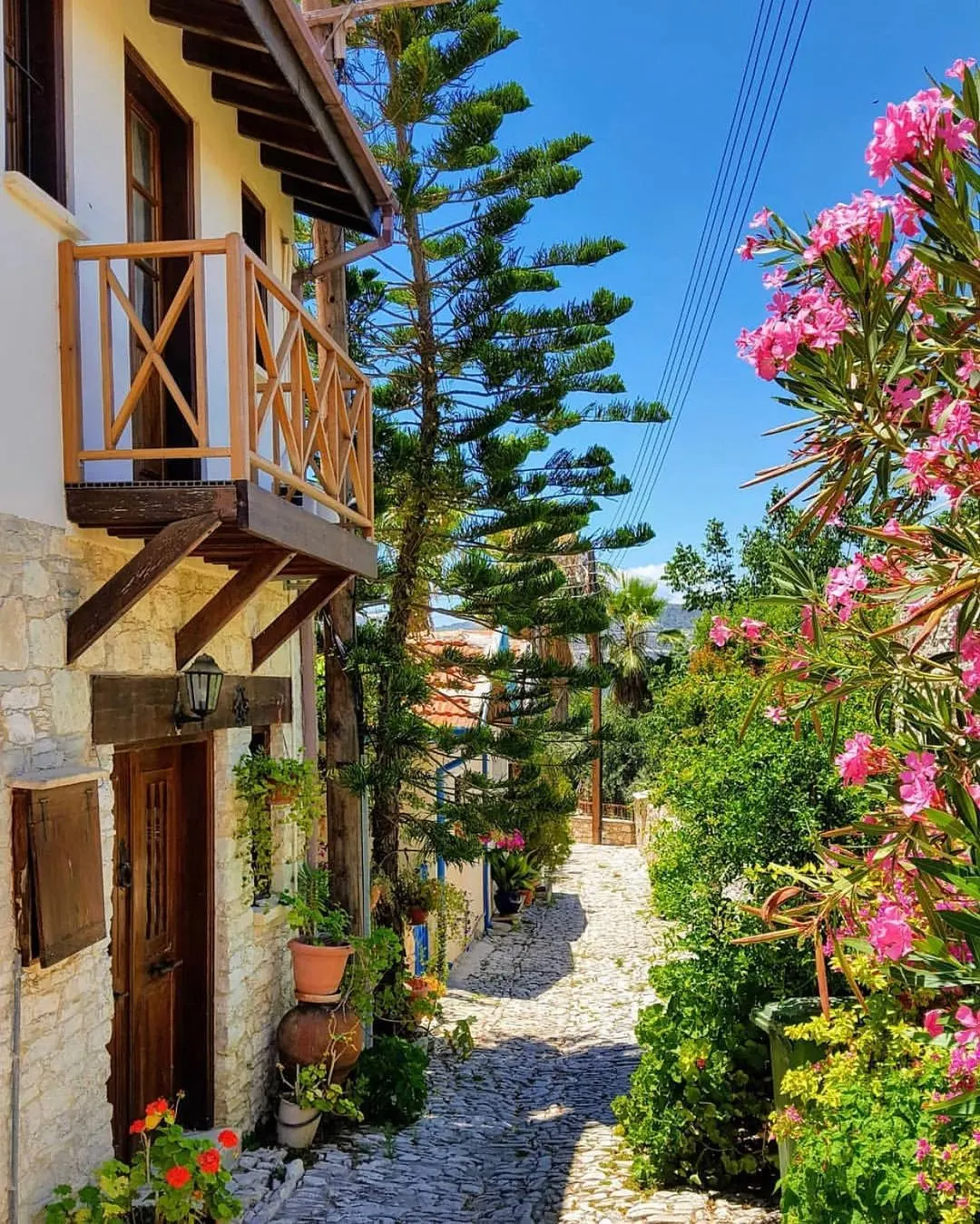 A painted doorway and vine in Lania village
